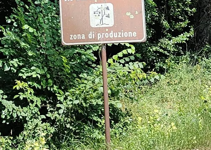 Affittacamere Quieto Vivere *